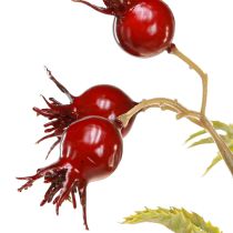 Prodotto Rami decorativi artificiali di rosa canina con 7 frutti rosso scuro 48 cm