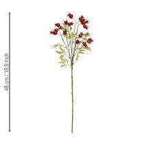 Prodotto Rami decorativi artificiali di rosa canina con 7 frutti rosso scuro 48 cm