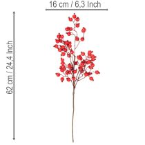 Prodotto Ramo artificiale di rosa canina con bacche lucide, 62 cm