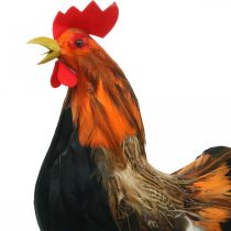 Gallo decorativo con piume Decorazione pasquale gallo fattoria 36 cm