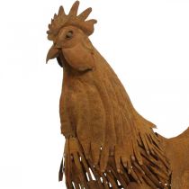 Gallo arrugginito decorazione da giardino patina decorazione figura in metallo 58×13×50 cm