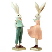 Prodotto Coniglietta coniglietta coniglietto decorazione Pasqua H36cm 2 pezzi