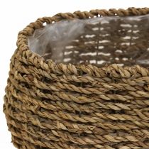 Cesto con manico cesto per piante cesto per fiori L23/34cm set di 2