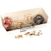 Prodotto Set di decorazioni autunnali riccio funghi drago – acquista scatola decorativa a buon mercato