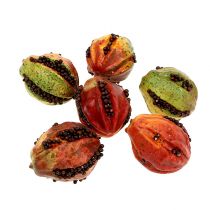 Frutti autunnali 3,5 cm rosso, marrone 24 pezzi