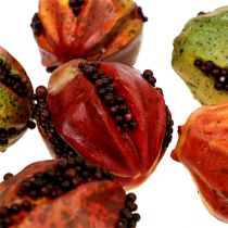 Frutti autunnali 3,5 cm rosso, marrone 24 pezzi