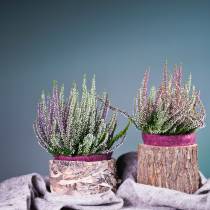 Vaso per piante in legno di olmo Ø16-18cm H15cm