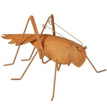 Prodotto Decorazione da giardino a forma di cavalletta, decorazione in metallo arrugginito per stare in piedi 26 cm