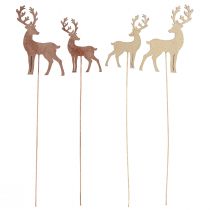 Prodotto Cervo di legno per Natale con bastone Bronzo oro 8-10cm 18pz