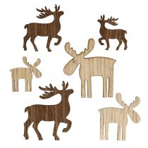Prodotto Mescolare le renne per spolverare marrone, natura 3 cm - 5 cm 72 pezzi