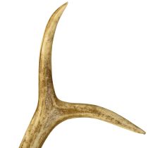 Prodotto Decorazione in corna di cervo, corna artificiali, decorazione da tavolo 28×14 cm