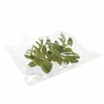 Prodotto Testa di cervo decorativa floccata verde muschio 10 cm x 20 cm 3 pz