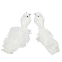 Prodotto Colombe decorative per matrimonio come coppia di piccioni su clip bianche 22 cm 2 pz