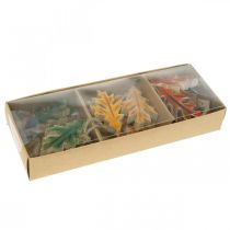 Prodotto Foglie decorative in legno per appendere decorazioni colorate autunnali 6,5 × 4 cm 12 pezzi