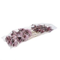 Prodotto Fiore di legno, tazza di palma mix rosa-erika 25 pezzi