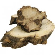 Dischi di legno deco root wood scatter decorazione legno 3-8cm 500g