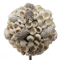 Prodotto Albero decorativo in legno decorazione invernale ghiande di betulla coni bianchi H40cm