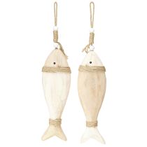 Prodotto Decorazione pesce in legno ciondolo marittimo Paulownia legno 27cm 2pz