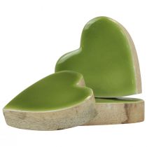 Cuori in legno cuori decorativi in legno verde chiaro effetto lucido 4,5 cm 8 pz