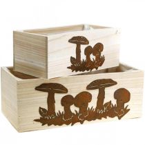 Set di scatole per piante, scatole di legno con funghi, decorazione autunnale, acciaio inossidabile L40 / 30cm, set di 2