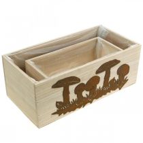 Prodotto Set di fioriere, scatole di legno con funghi, patina decorazione autunnale L40/30cm set di 2