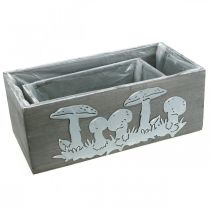 Prodotto Cofanetto in legno fungo fungo, decorazioni autunnali, decorazioni da giardino, scatole per piante L40 / 30cm, set di 2