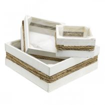 Cassetta per piante in legno bianco con cassetta in corda per piantare 15/20/30 cm set di 3
