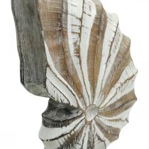 Supporto per guscio di lumaca in legno decorativo marittimo naturale, bianco H28cm