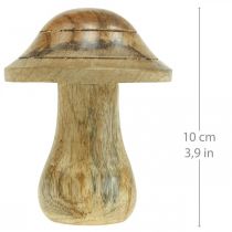 Prodotto Fungo di legno con scanalature Fungo decorativo autunnale legno di mango naturale 10×Ø8cm