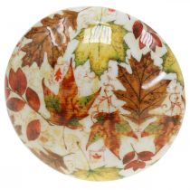 Prodotto Fungo in legno deco foglie autunnali bianche, decorazione autunnale colorata Ø13cm H19cm