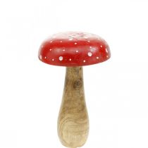 Fungo decorativo in legno di agarico autunnale Ø12cm H19cm