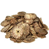 Prodotto Dischi di legno decorativi fette di noce di betel areca 1-3,5 cm 300 g