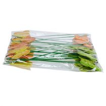 Prodotto Farfalle in legno su bastoncino, assortite in 3 colori, 8 cm, 24 pezzi