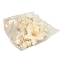 Prodotto Stelle in legno fiammato Addobbi albero di Natale 8×8×1cm