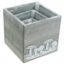 Prodotto Cubetti di legno con funghi, decorazione autunnale, cassetta per piante 20/16/12 cm, set da 3