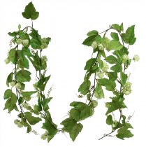 Prodotto Ghirlanda di foglie ghirlanda di luppolo verde artificiale L180cm