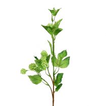 Prodotto Ramo di luppolo 70 cm verde 2 pezzi di pianta artificiale