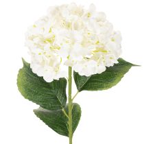 Prodotto Ortensia artificiale a stelo lungo, fiore artificiale da 60 cm