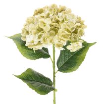 Prodotto Fiore di ortensia artificiale con stelo lungo e foglie, 60 cm