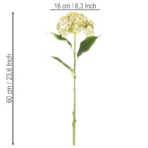 Prodotto Fiore di ortensia artificiale con stelo lungo e foglie, 60 cm