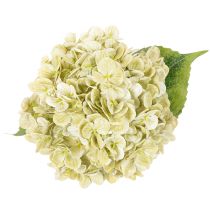 Prodotto Fiore di ortensia artificiale con stelo lungo e foglie, 60 cm