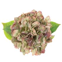 Prodotto Ortensia artificiale decorativa con stelo, 46 cm