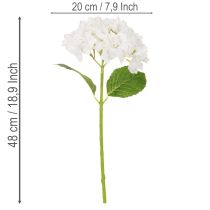 Prodotto Fiore di ortensia artificiale con stelo lungo per decorazione, 48 cm
