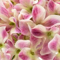 Prodotto Elegante fiore di ortensia artificiale come attrazione duratura, 80 cm, 2 pezzi