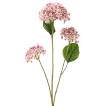 Prodotto Elegante fiore di ortensia artificiale come attrazione duratura, 80 cm, 2 pezzi