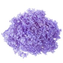 Prodotto Fiore di ortensia essiccato per un elegante design e decorazione d'interni, 80 cm