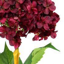Prodotto Ortensia artificiale rosso scuro 80 cm 1 pezzo