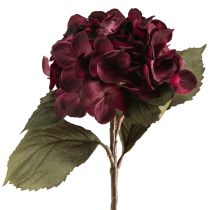 Prodotto Fiori artificiali di ortensia Bordeaux 52cm