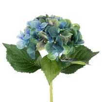 Prodotto Fiore di ortensia artificiale, blu-verde, stelo singolo decorativo, 53 cm
