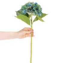 Prodotto Fiore di ortensia artificiale, blu-verde, stelo singolo decorativo, 53 cm
